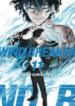 Wind Breaker